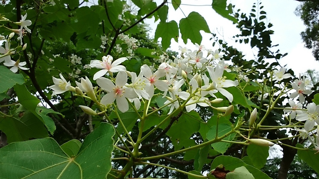 2014-04-19 12.09.15.jpg