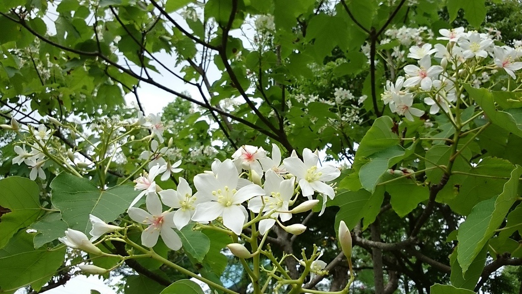 2014-04-19 12.09.34.jpg