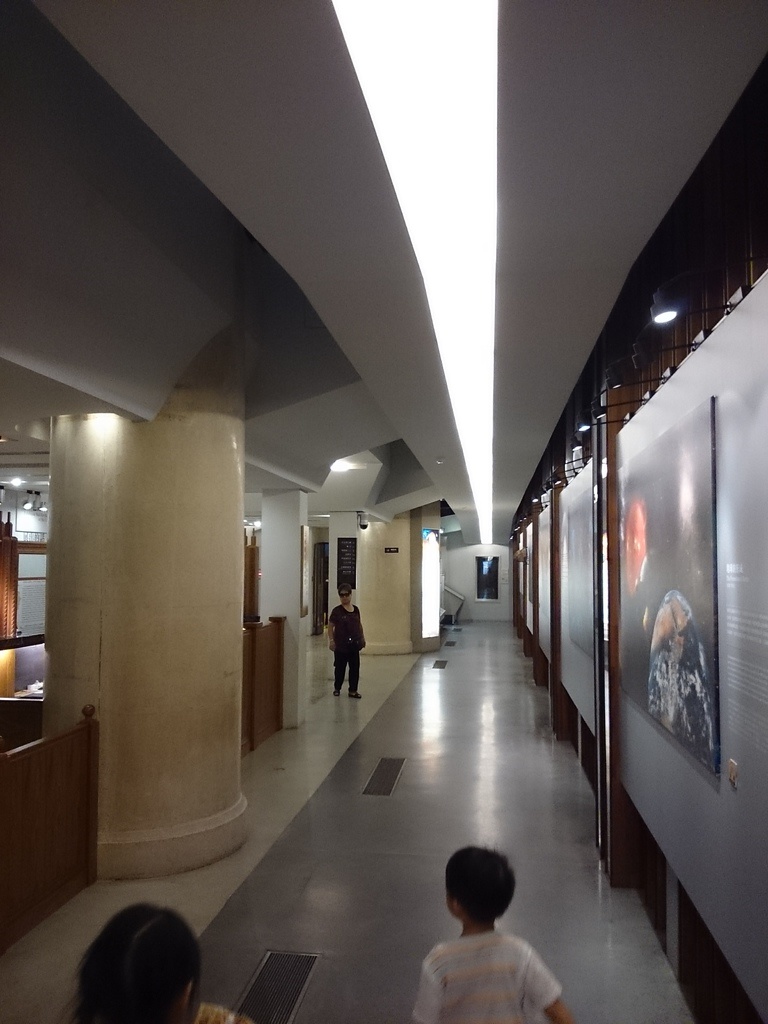 2014-07-04 13.28.35.jpg