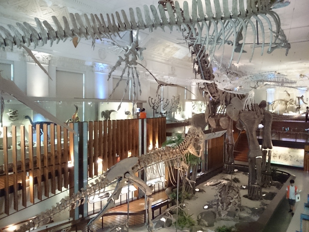 2014-07-04 13.31.37.jpg