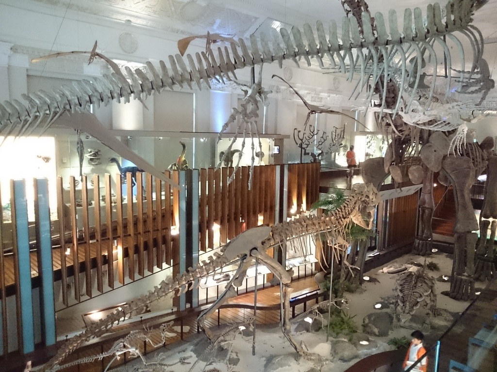 2014-07-04 13.31.43.jpg