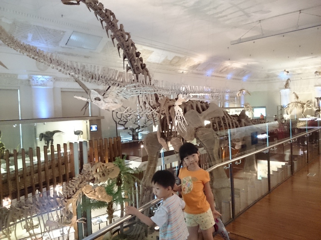 2014-07-04 13.32.24.jpg