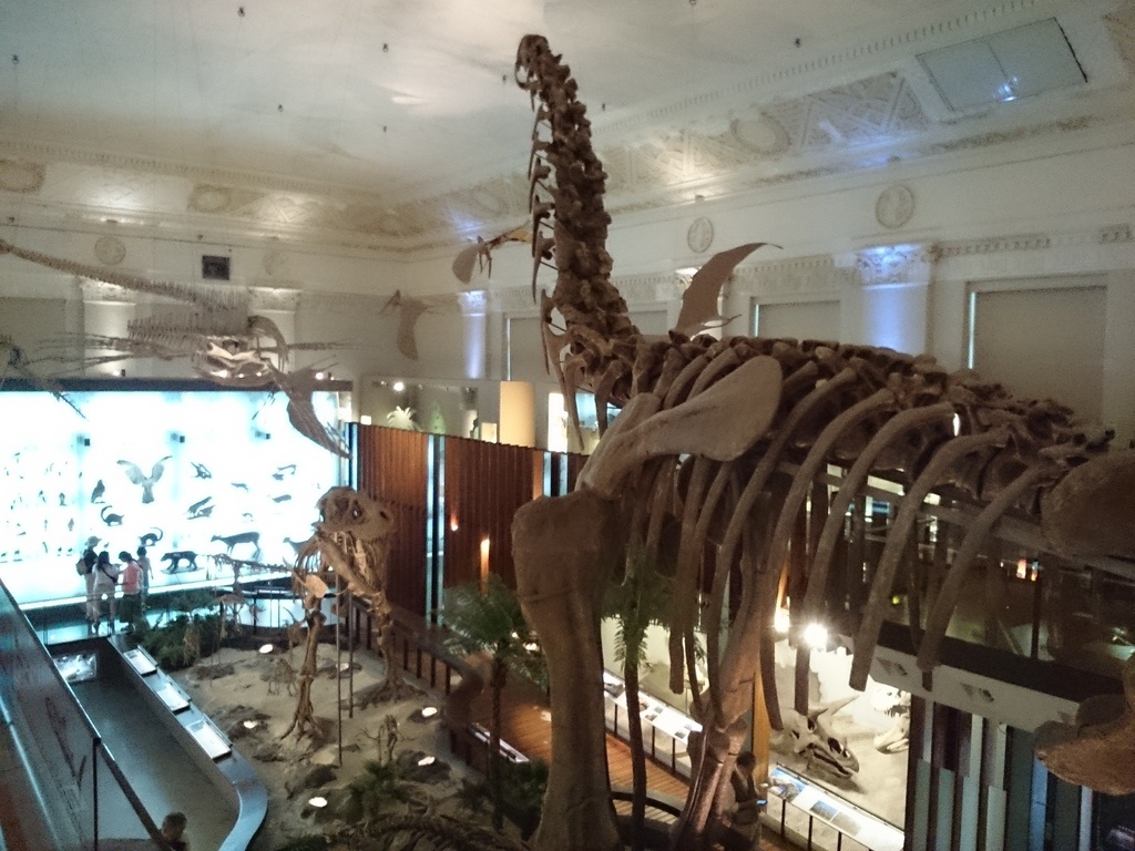 2014-07-04 13.33.39.jpg