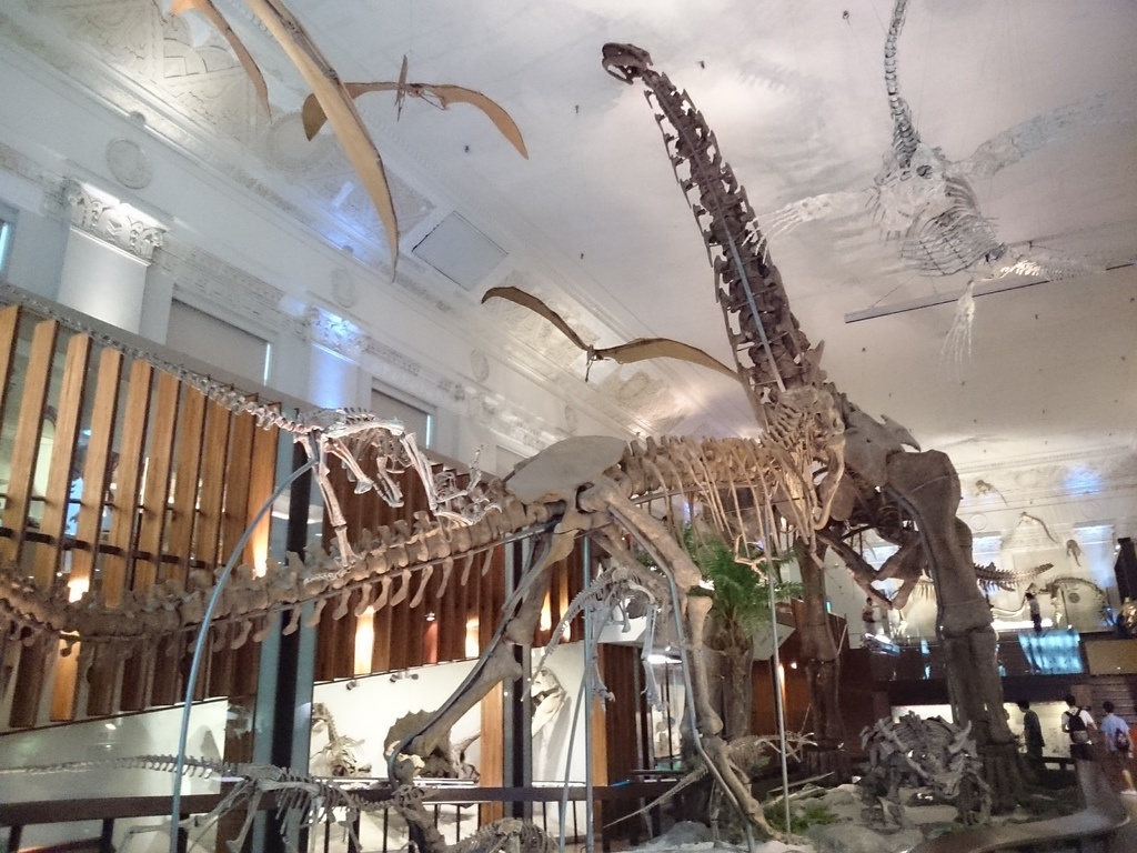 2014-07-04 13.37.55.jpg
