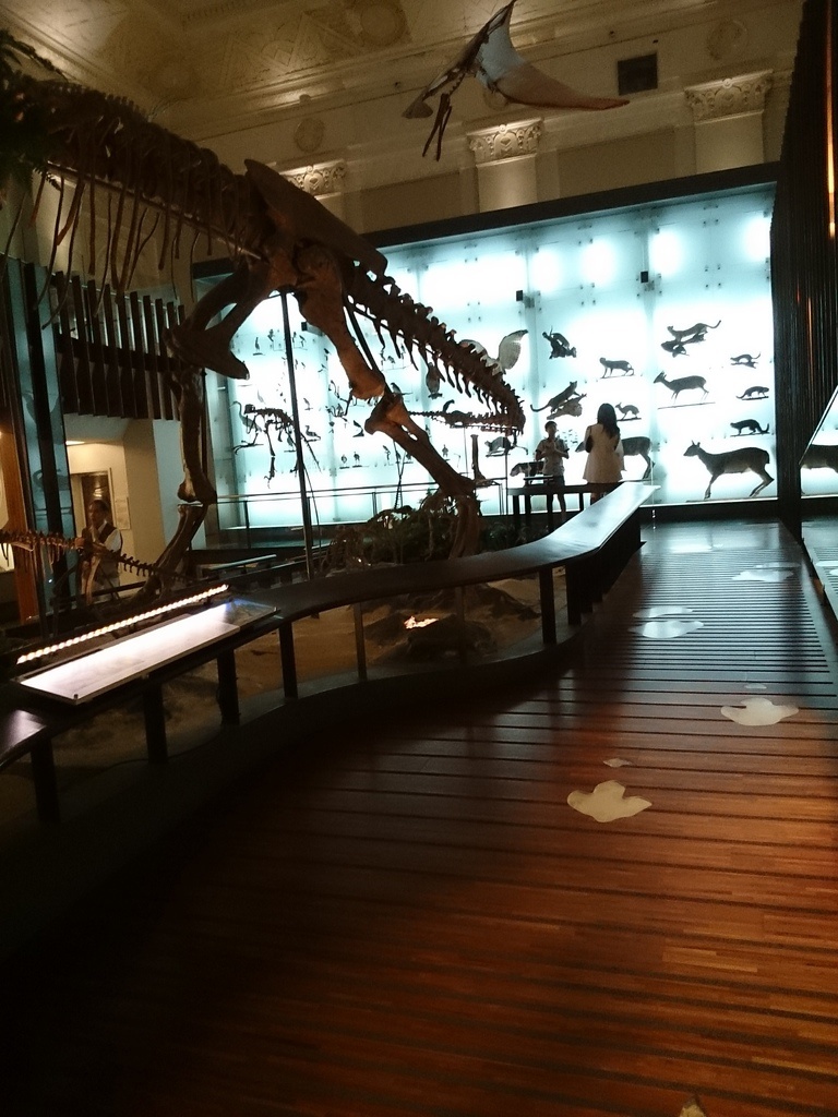 2014-07-04 13.43.43.jpg