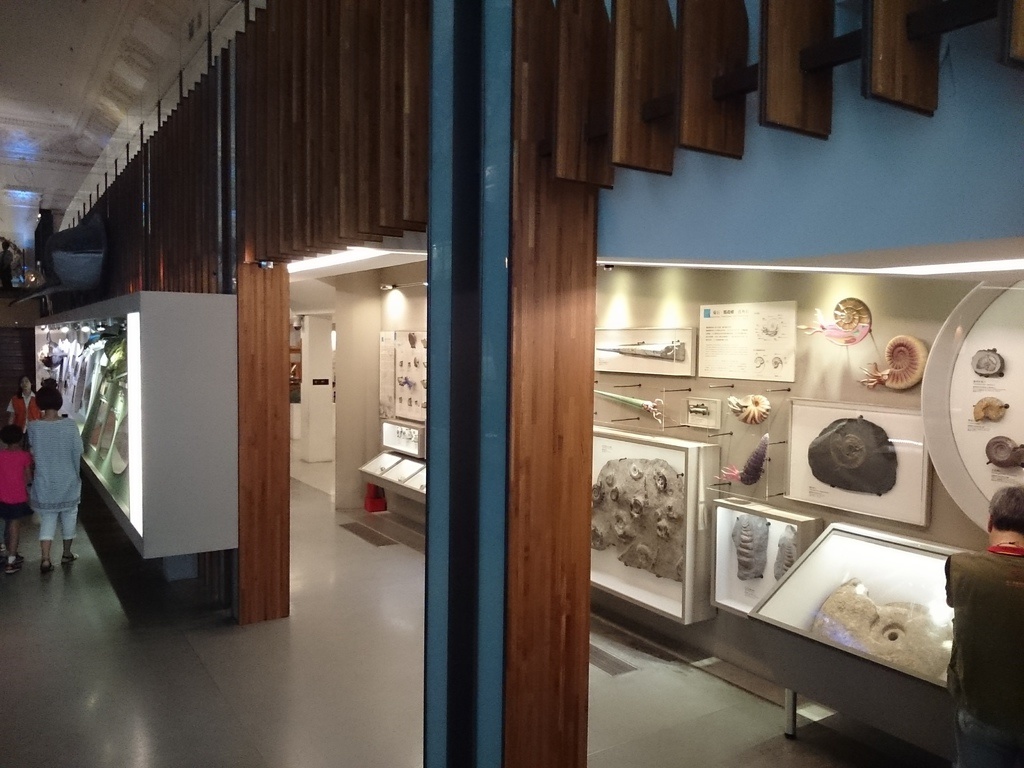 2014-07-04 13.45.30.jpg