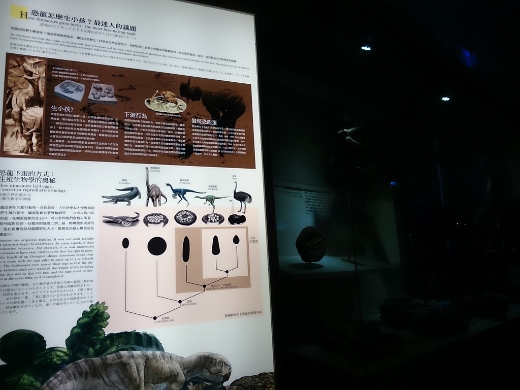 2014-07-04 13.46.50.jpg