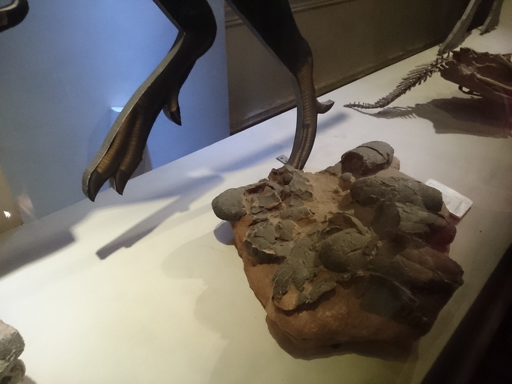 2014-07-04 13.47.34.jpg