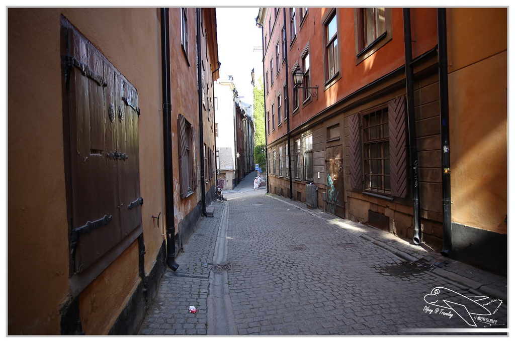 P07.jpg