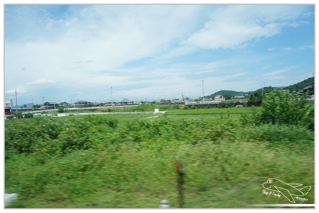 P23.jpg