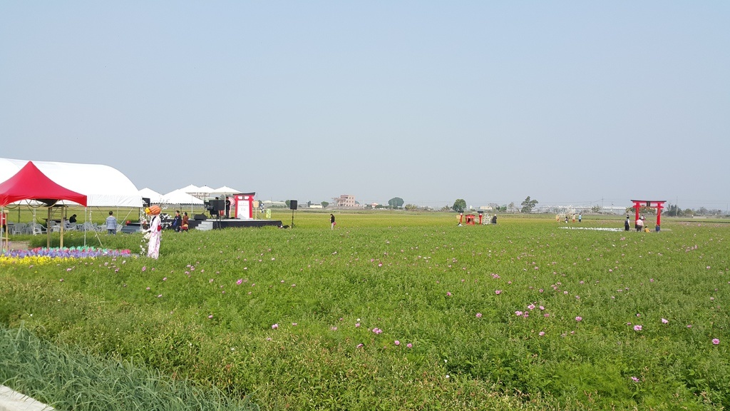 20150218_101906.jpg
