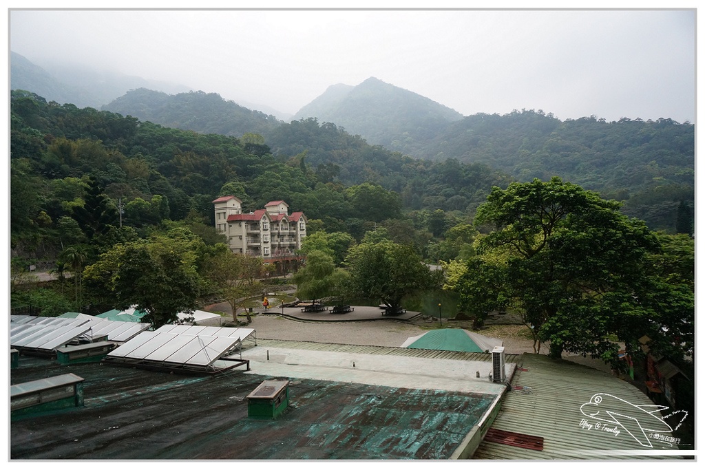 P01.jpg