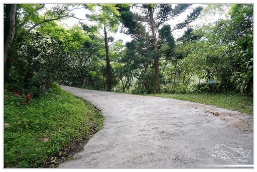 P95.jpg