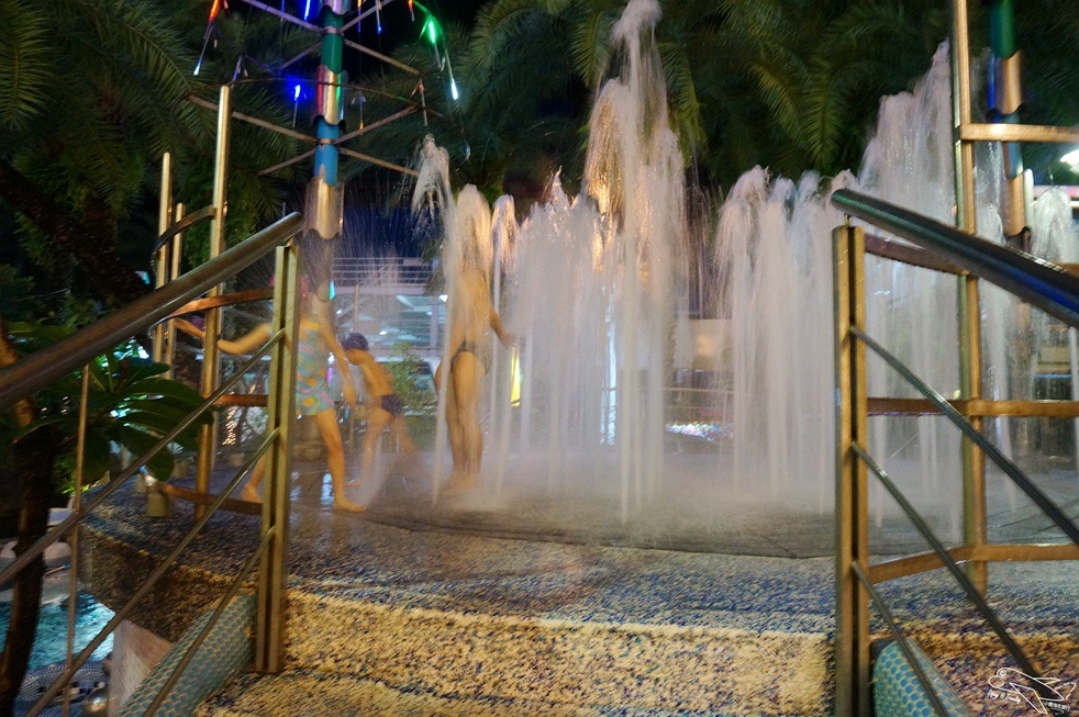 DSC05286.jpg