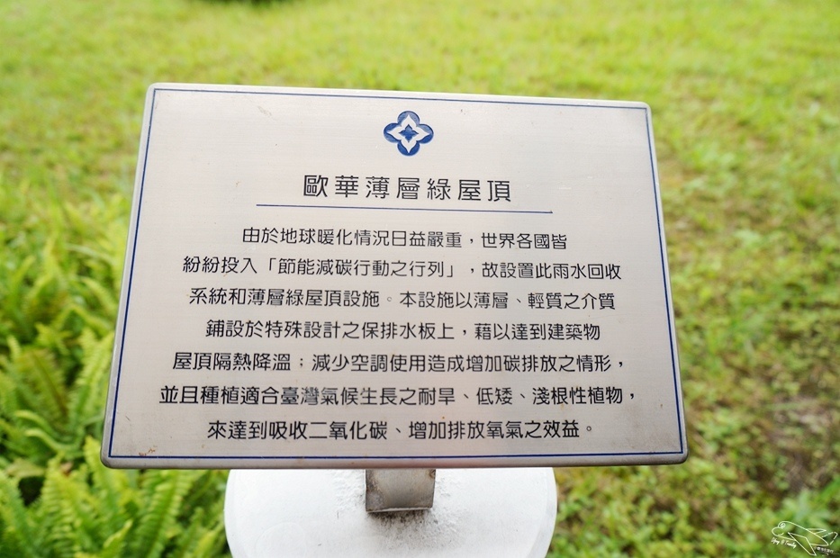 DSC06026.jpg