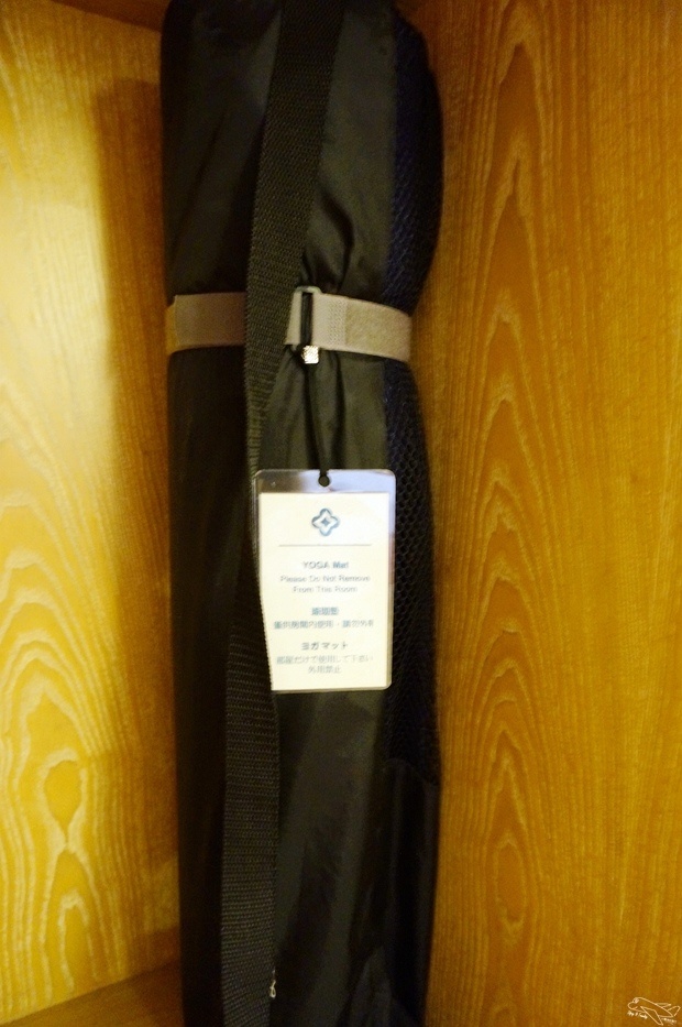 DSC06045.jpg
