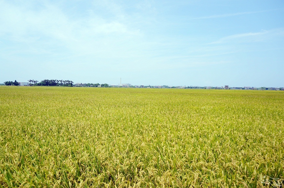 DSC07257.jpg