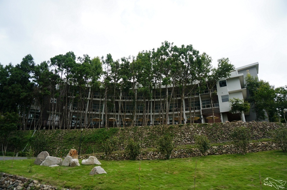 DSC07494.jpg