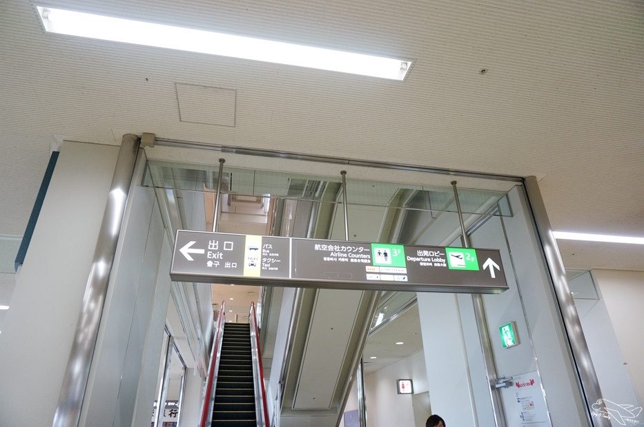 DSC08228.jpg
