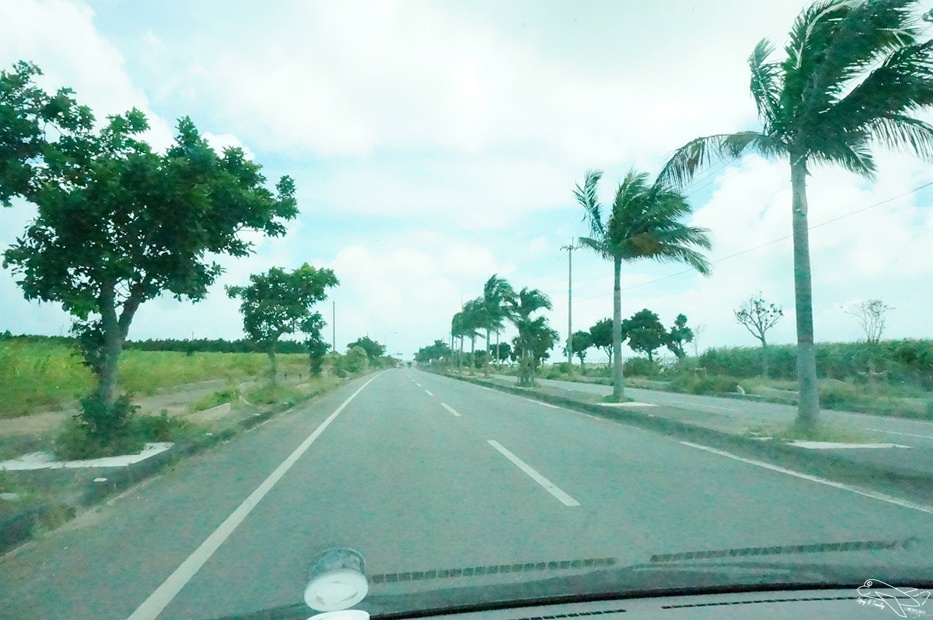 DSC08338.jpg