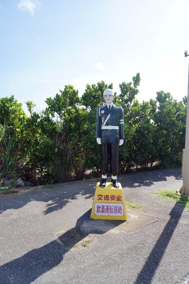 DSC08419.jpg