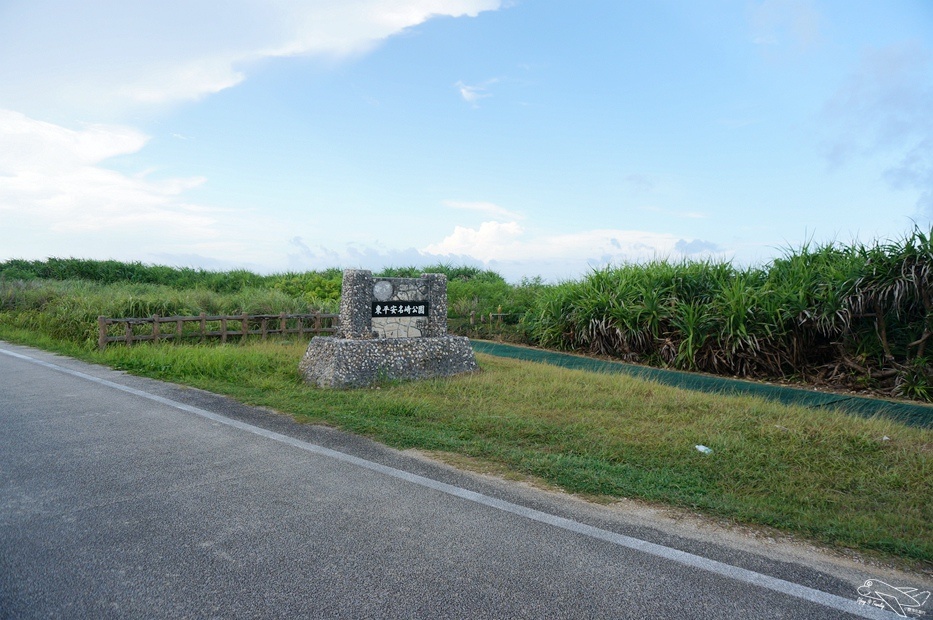 DSC08420.jpg