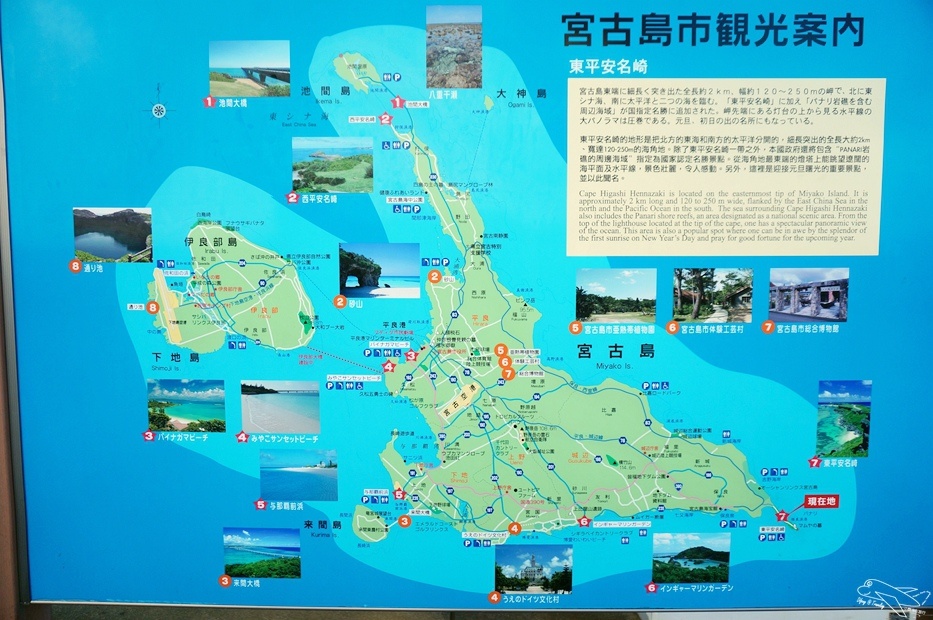 DSC08422.jpg