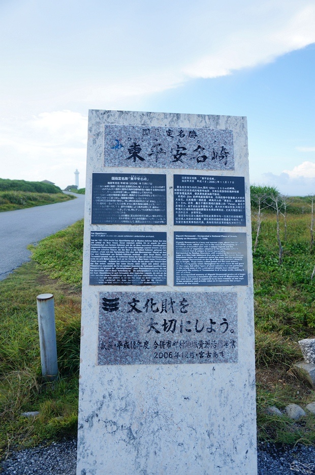 DSC08423.jpg