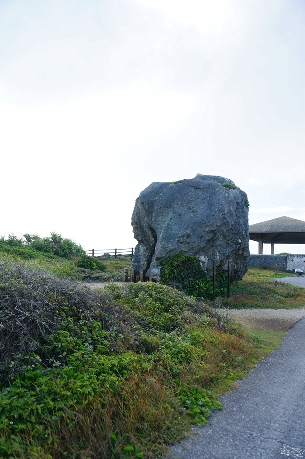 DSC08442.jpg