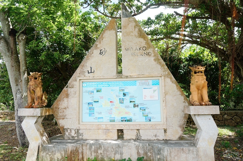 DSC08524.jpg
