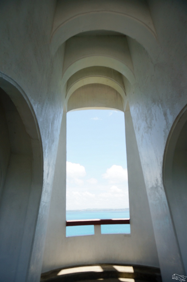 DSC08544.jpg