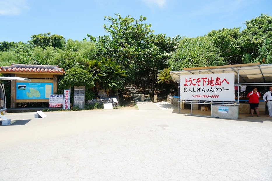 DSC08553.jpg