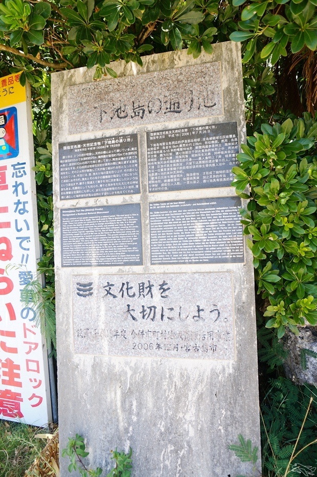 DSC08554.jpg