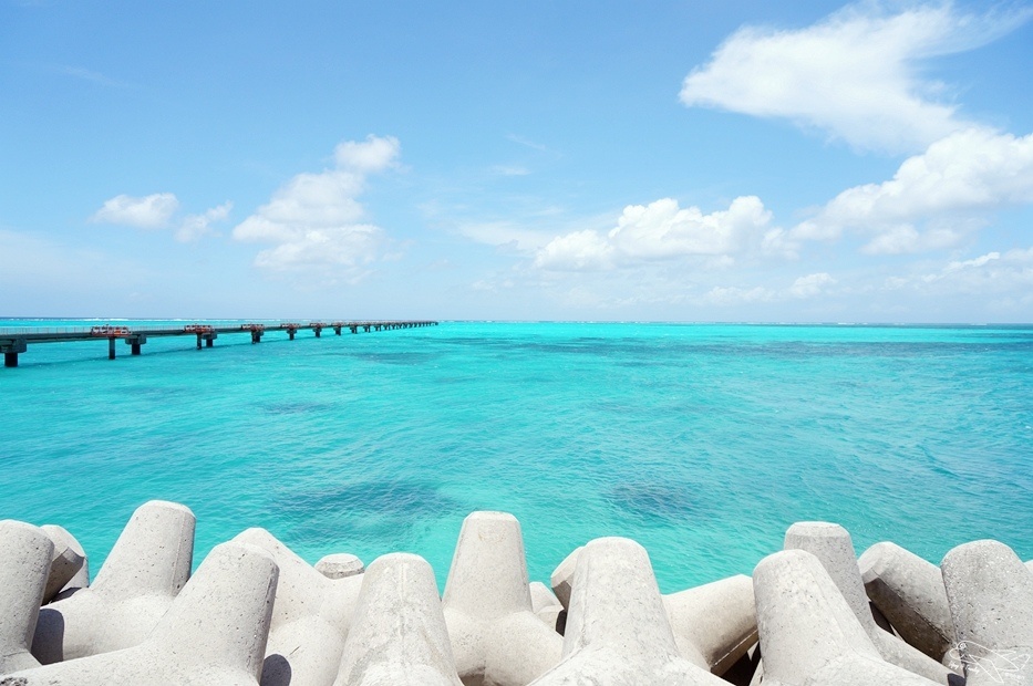DSC08570.jpg