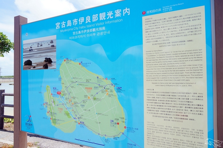DSC08571.jpg