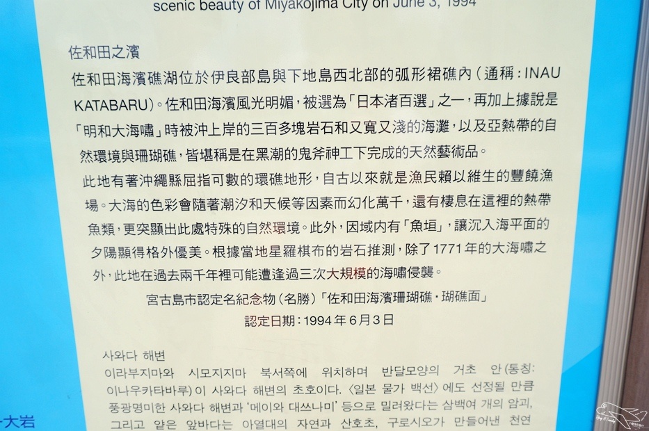 DSC08572.jpg