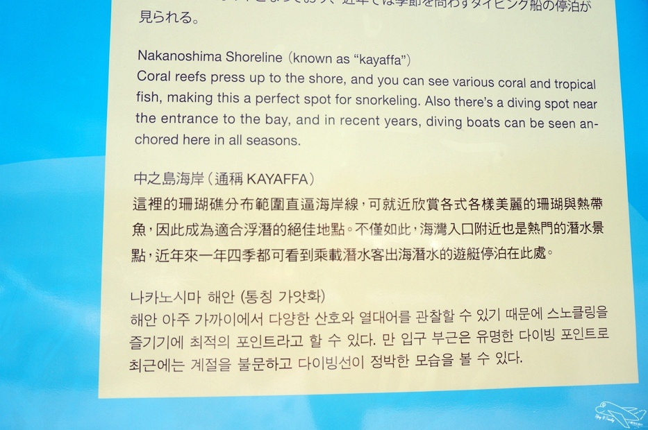 DSC08603.jpg