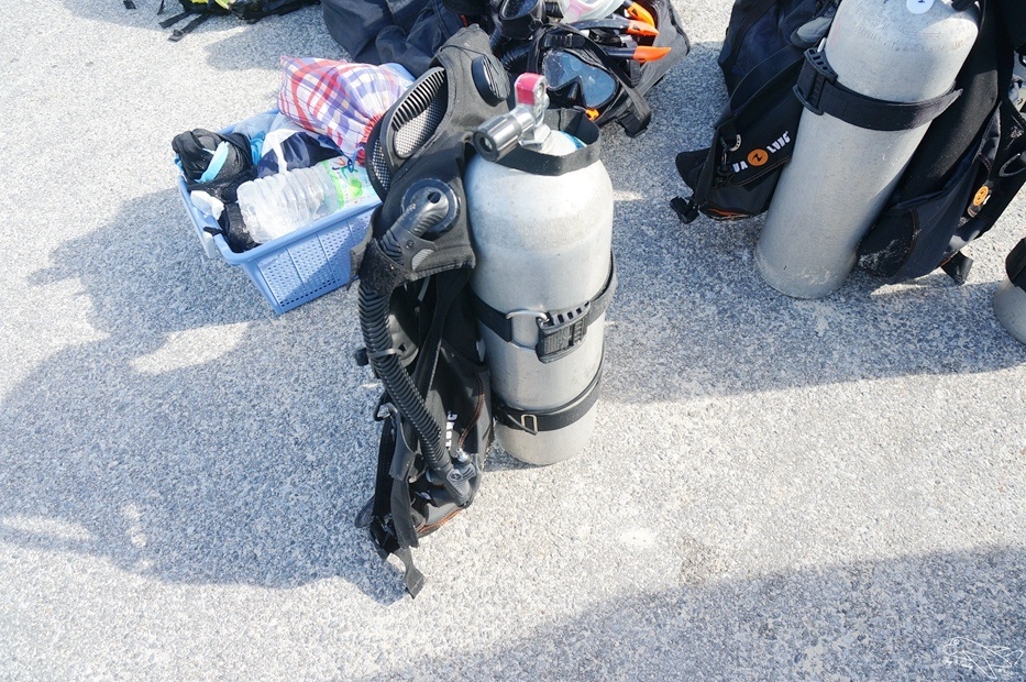DSC08607.jpg