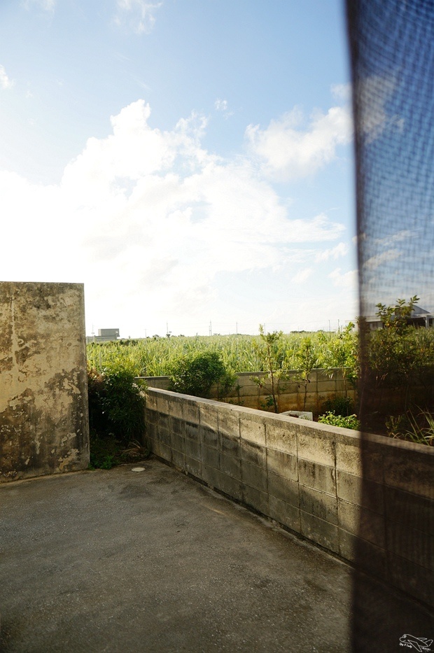 DSC08775.jpg
