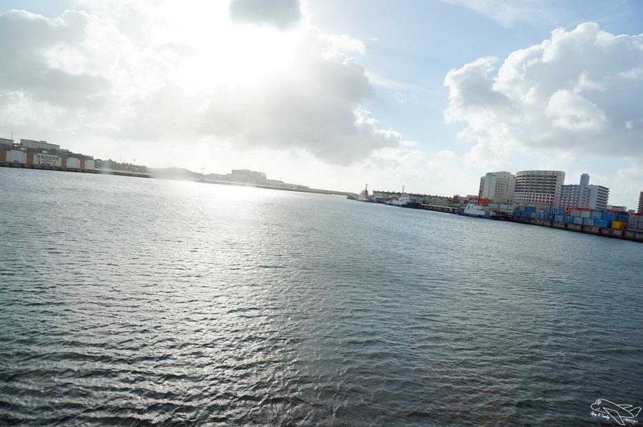 DSC08891.jpg