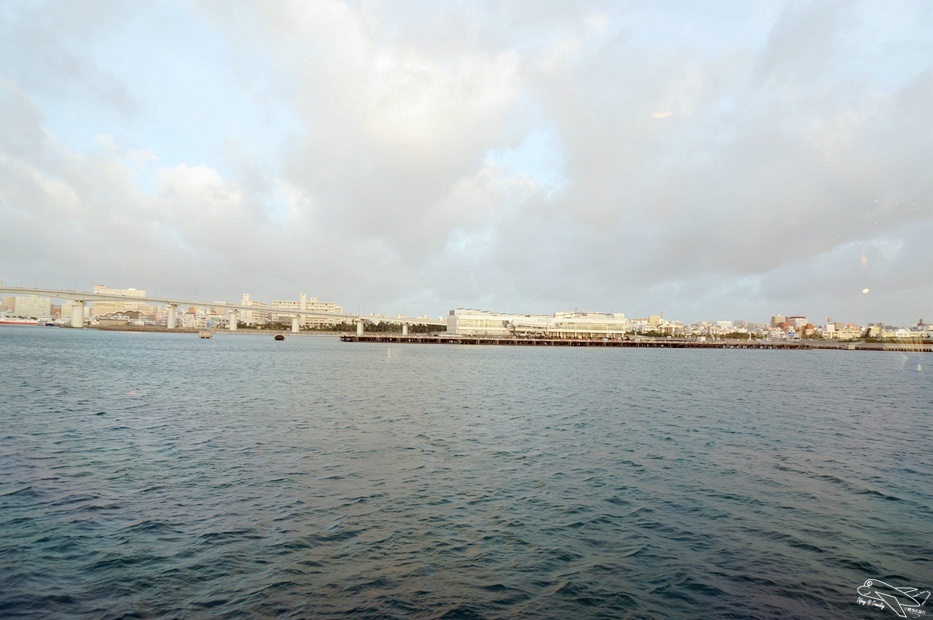 DSC08908.jpg
