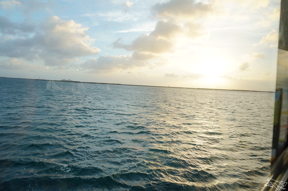 DSC08910.jpg