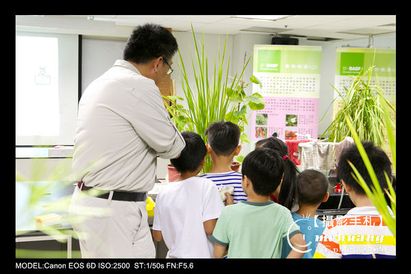 IMG_1365P29.jpg