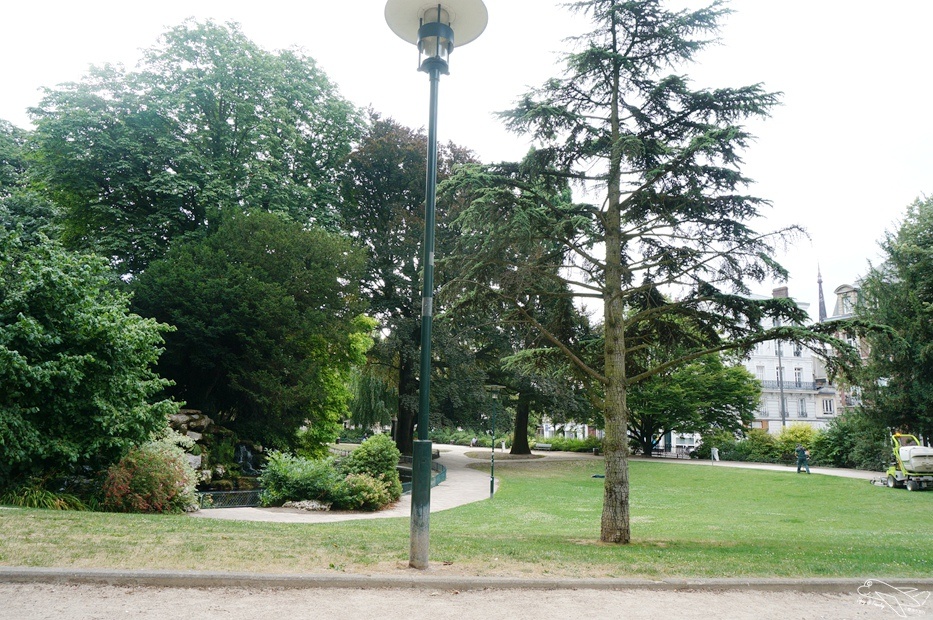 DSC00027.jpg