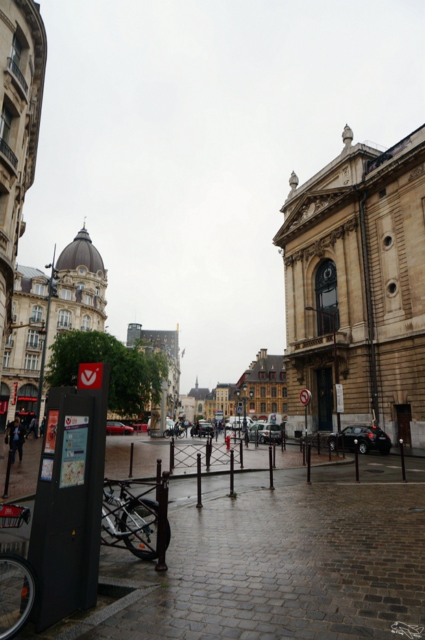 DSC00766.jpg