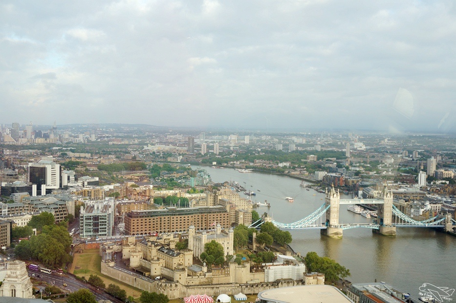 DSC03010.jpg