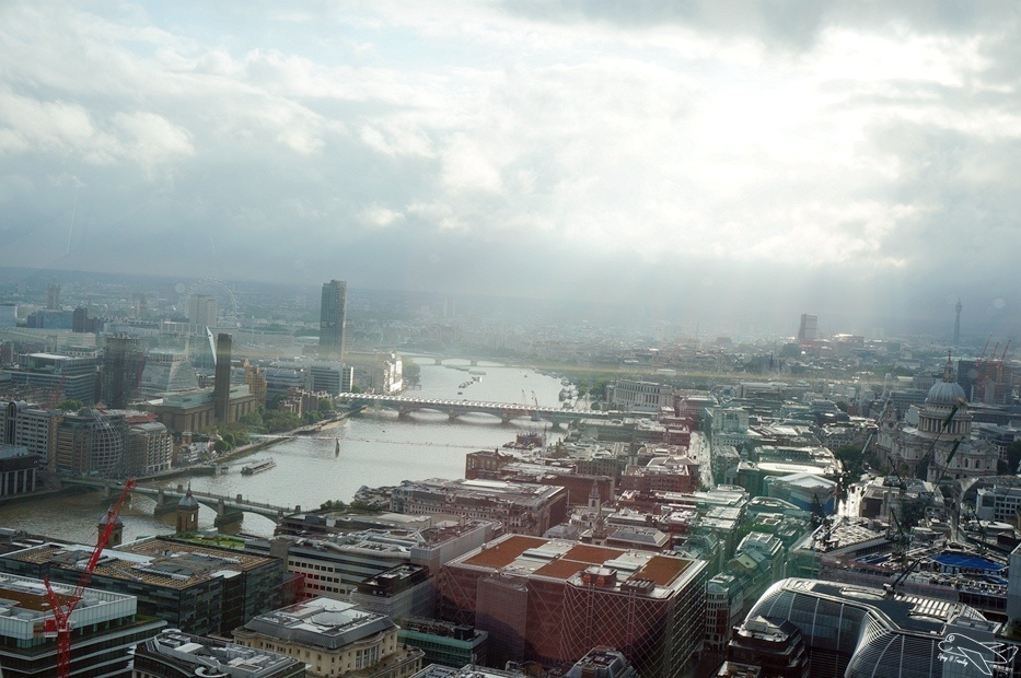 DSC03018.jpg
