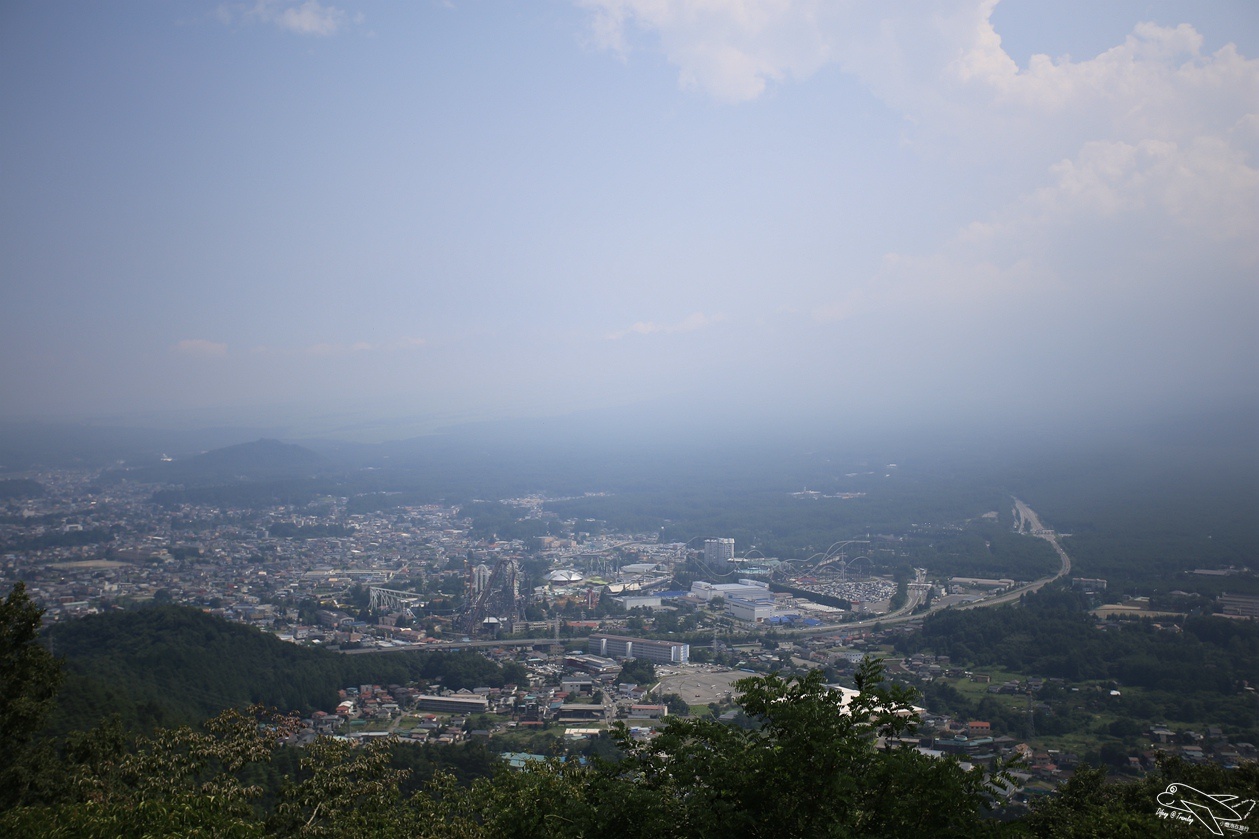 IMG_0021.jpg