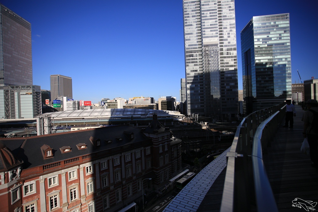 IMG_0727.jpg