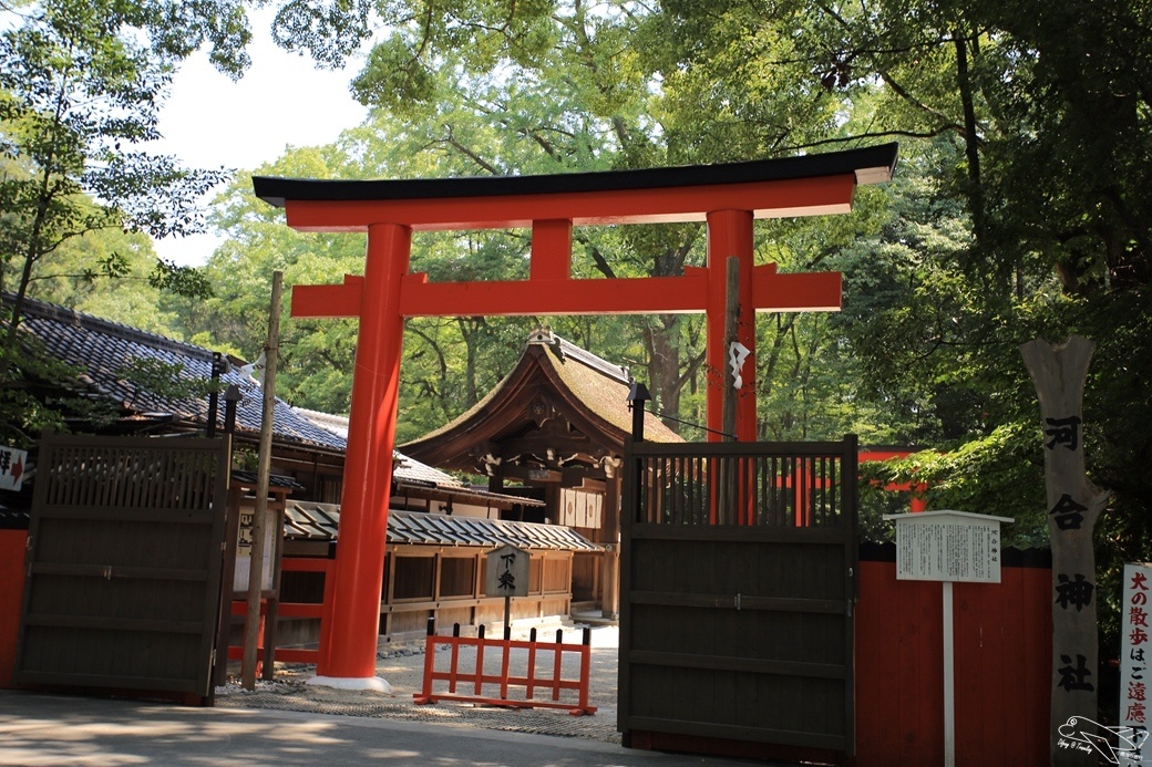 [日本30天旅行]日本京都|下鴨神社旁～日本第一美麗女神神社=河合神社～愛美的女生必去～鏡子繪馬～永保青春美麗
